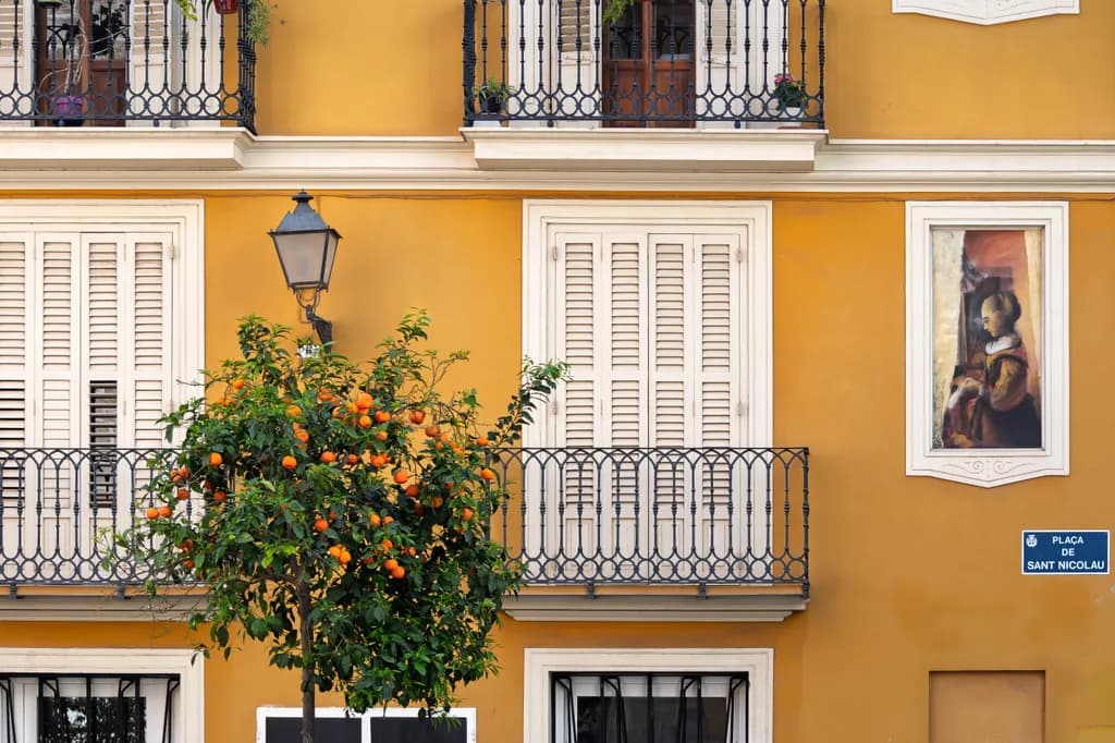 Orange Tree Balcony