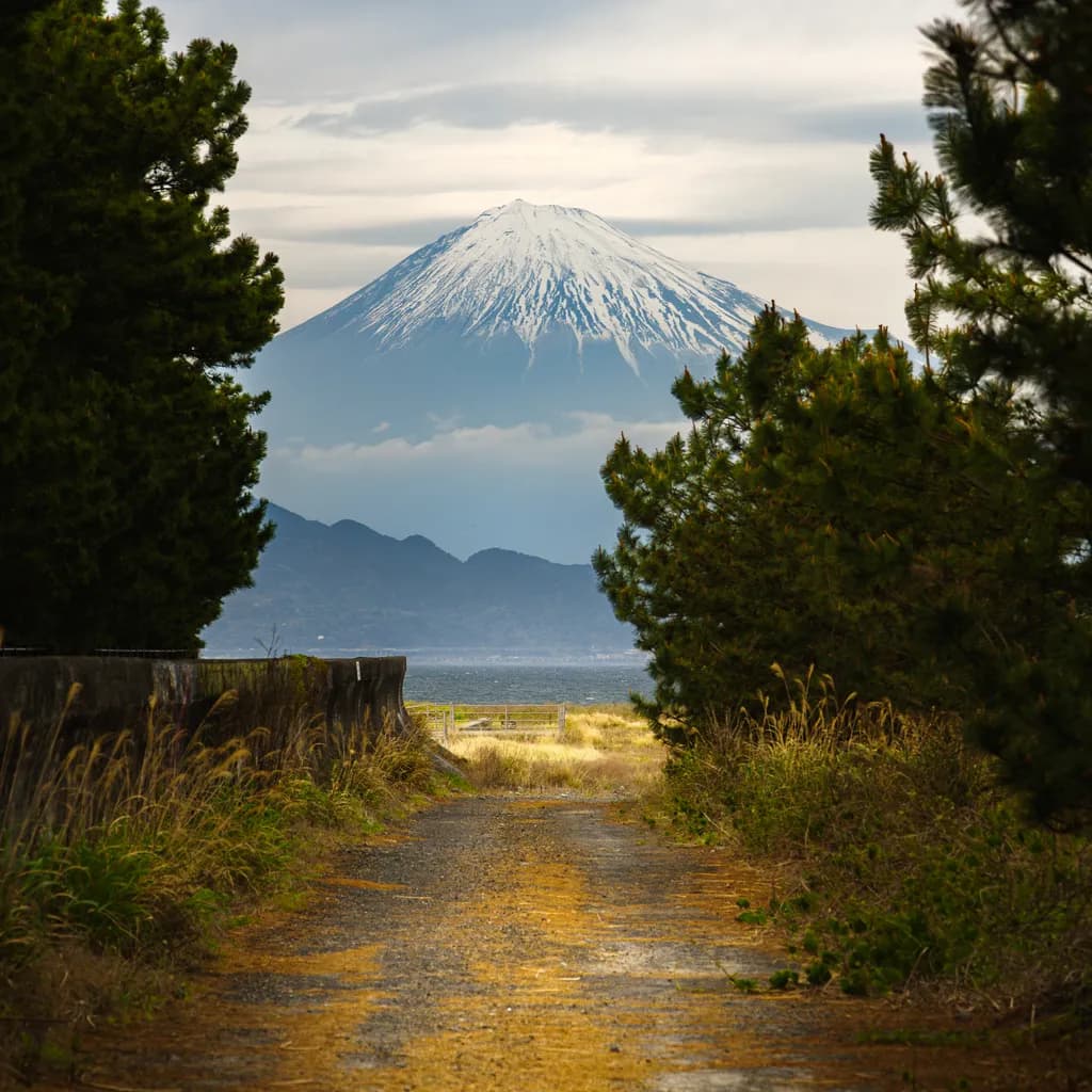 Miho-no-Matsubara Pathway