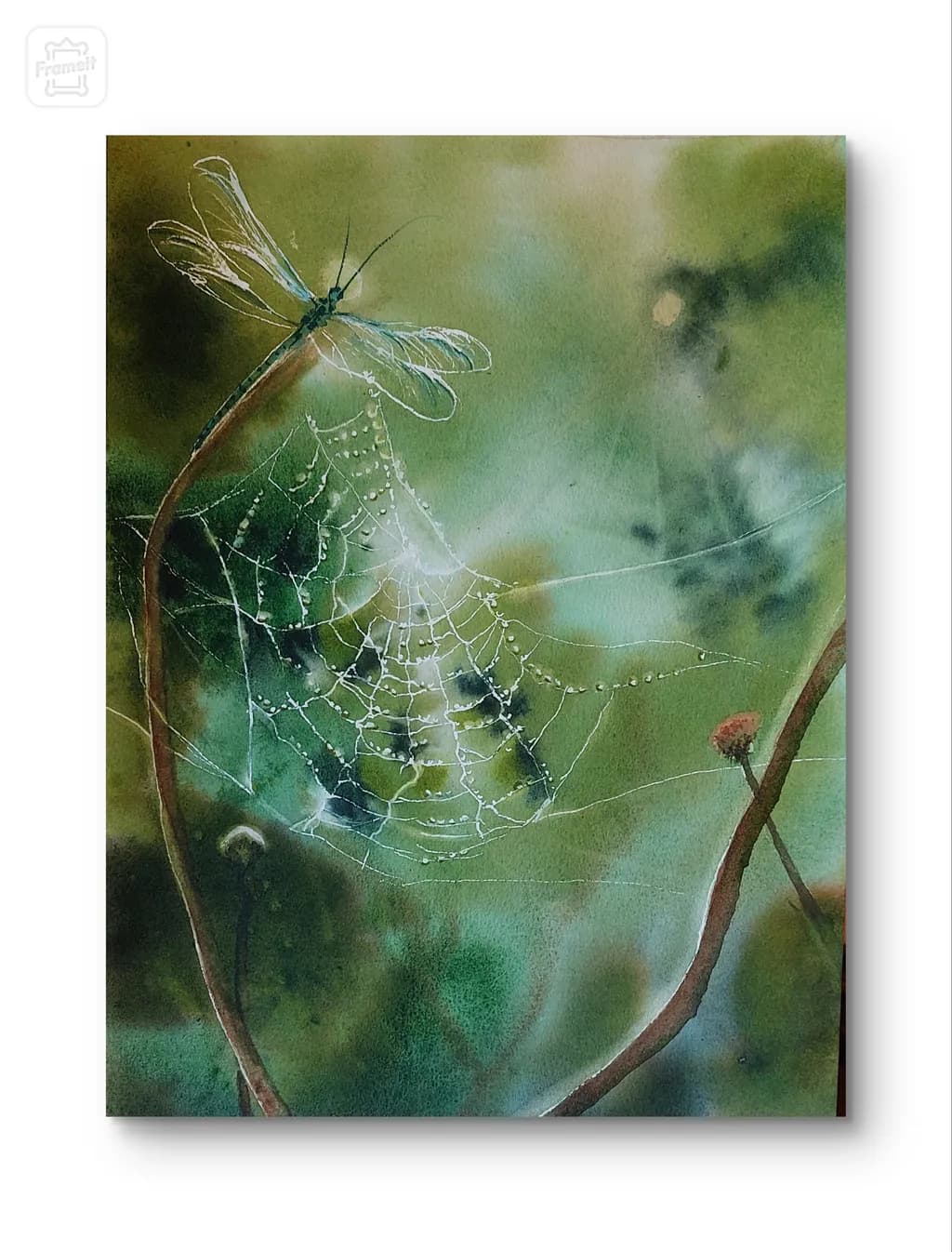 Whispers of Nature: A Dragonfly's Dance Amongst the Dew-Kissed Web