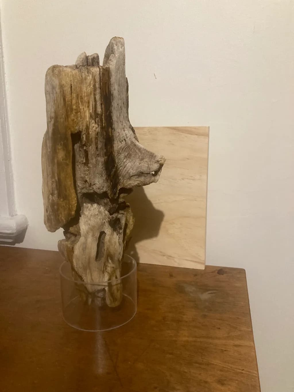 Whispers of Nature: A Sculptural Driftwood Masterpiece in Transparent Elegance