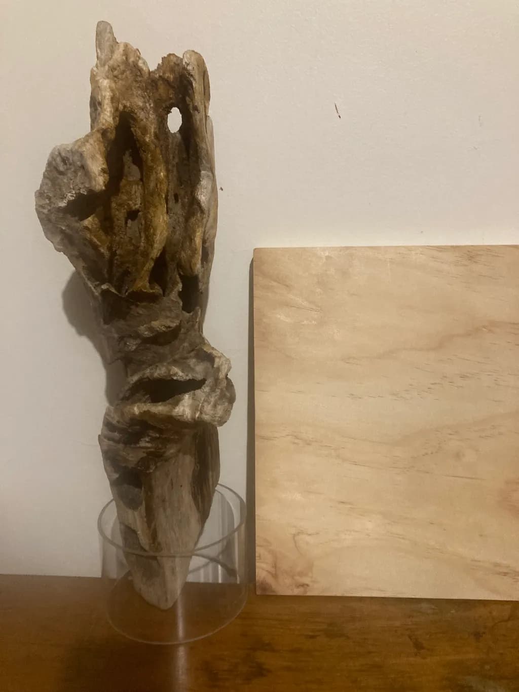 Whispers of Nature: A Sculptural Driftwood Masterpiece for Serene Spaces