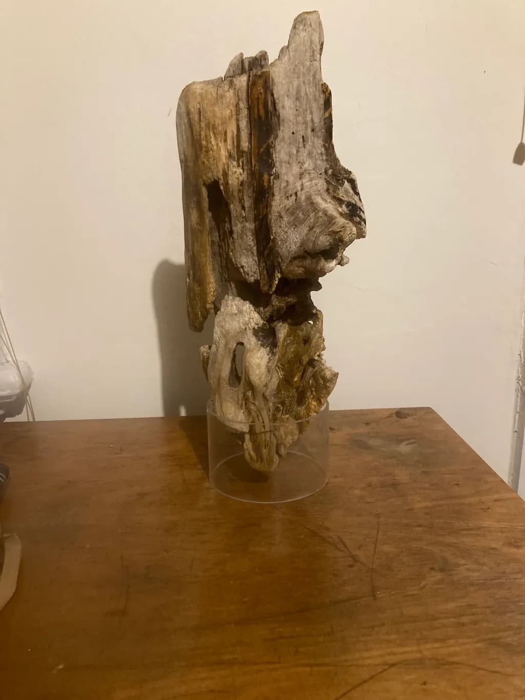 Whispers of Nature: An Organic Wood Sculpture Embracing Earth’s Essence