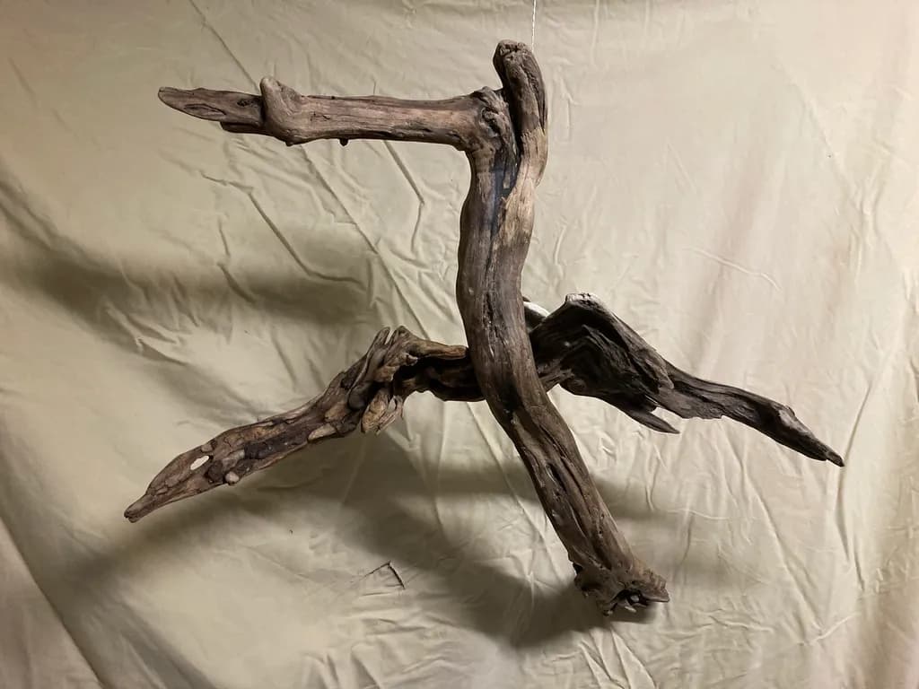 Driftwood Dance: A Sculptural Harmony of Nature's Artistry