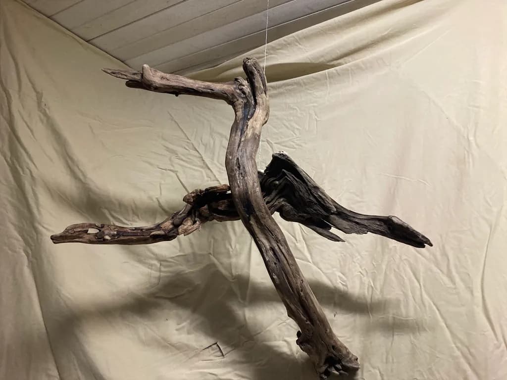 Whimsical Driftwood Dance: Nature's Artistry in Motion
