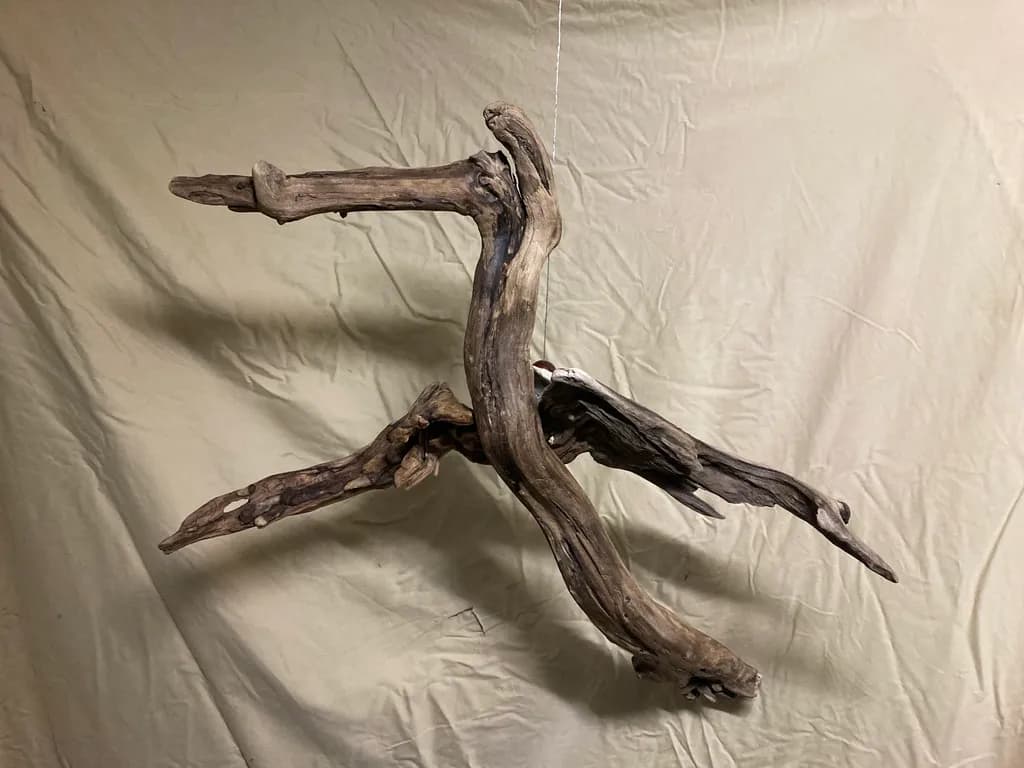Driftwood Dance: A Natural Sculpture of Organic Elegance
