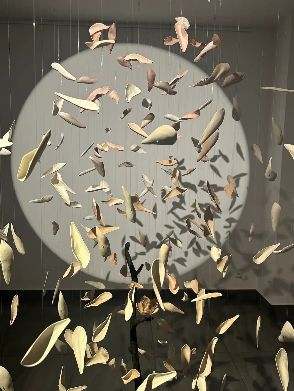 Whispers of Nature: A Dance of Delicate Petals in Light and Shadow