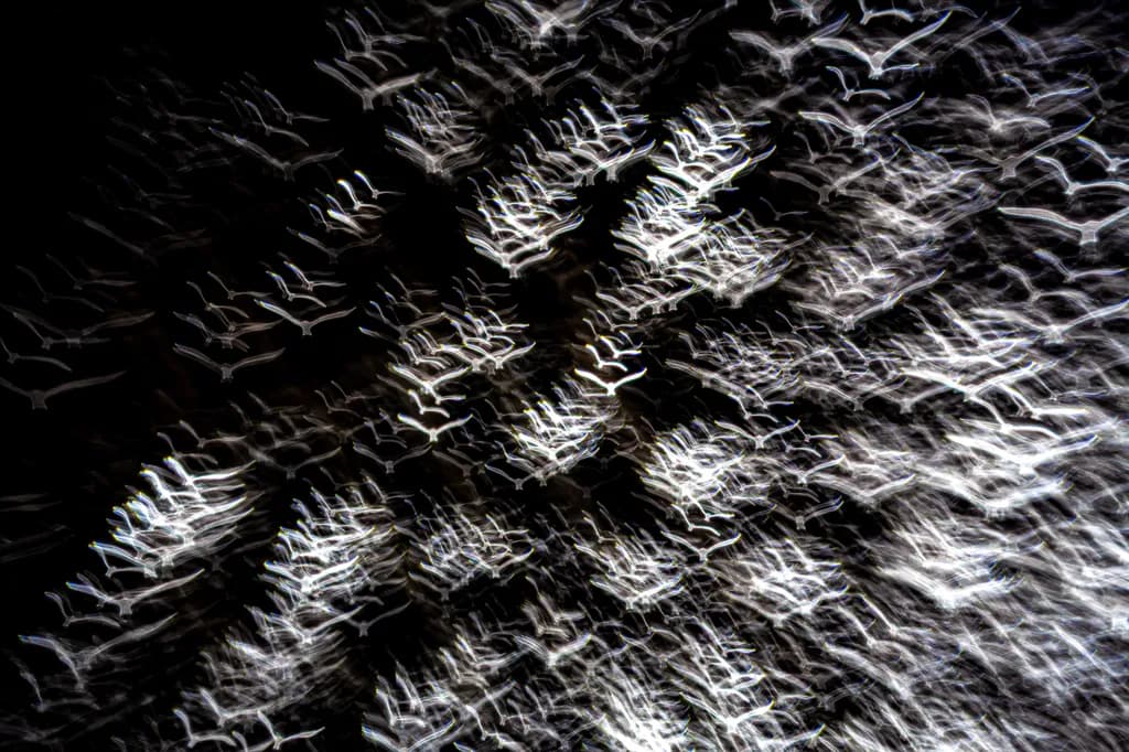 Whispers of Flight: An Abstract Dance of Light and Motion in Nature