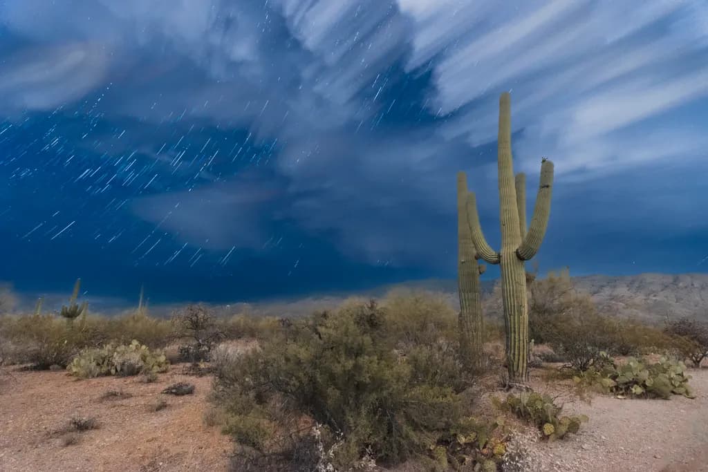 Startrails Tucson