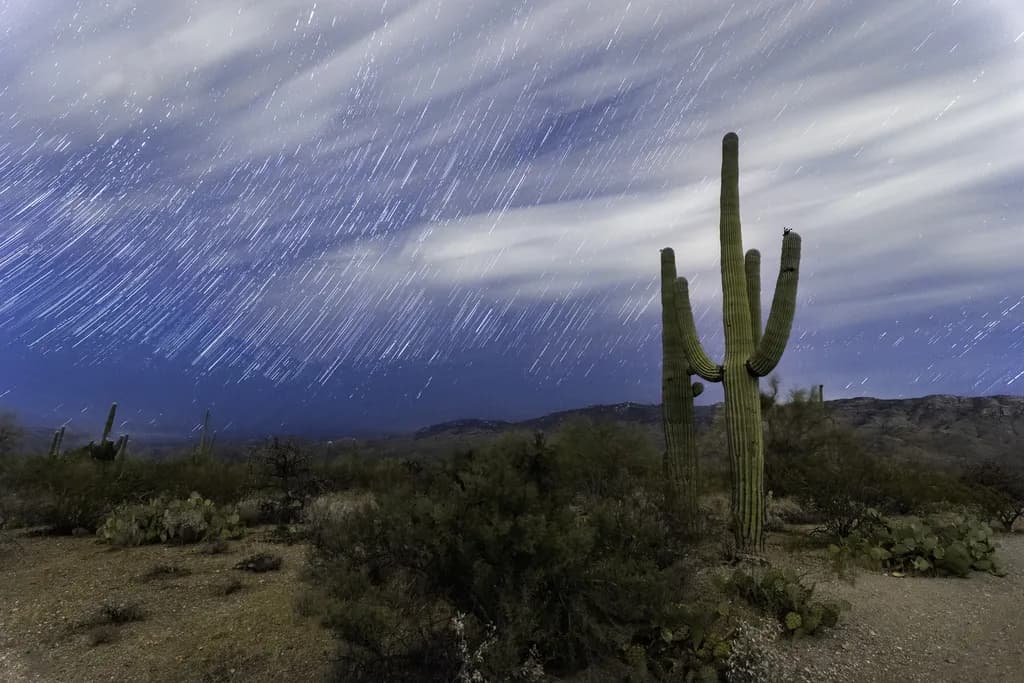 Startrails Tucson