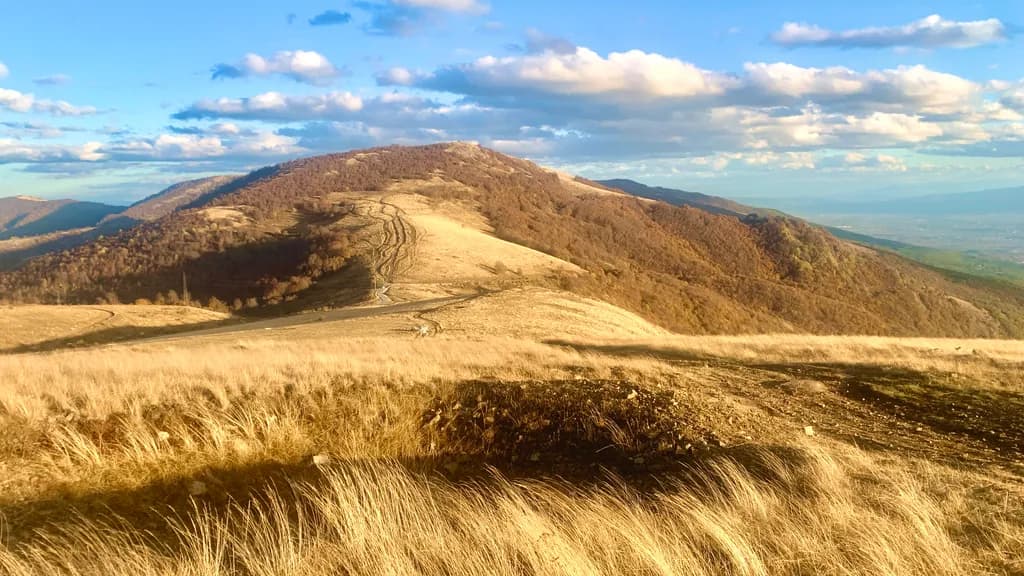Whispers of the Wind: A Serene Mountain Landscape at Dusk