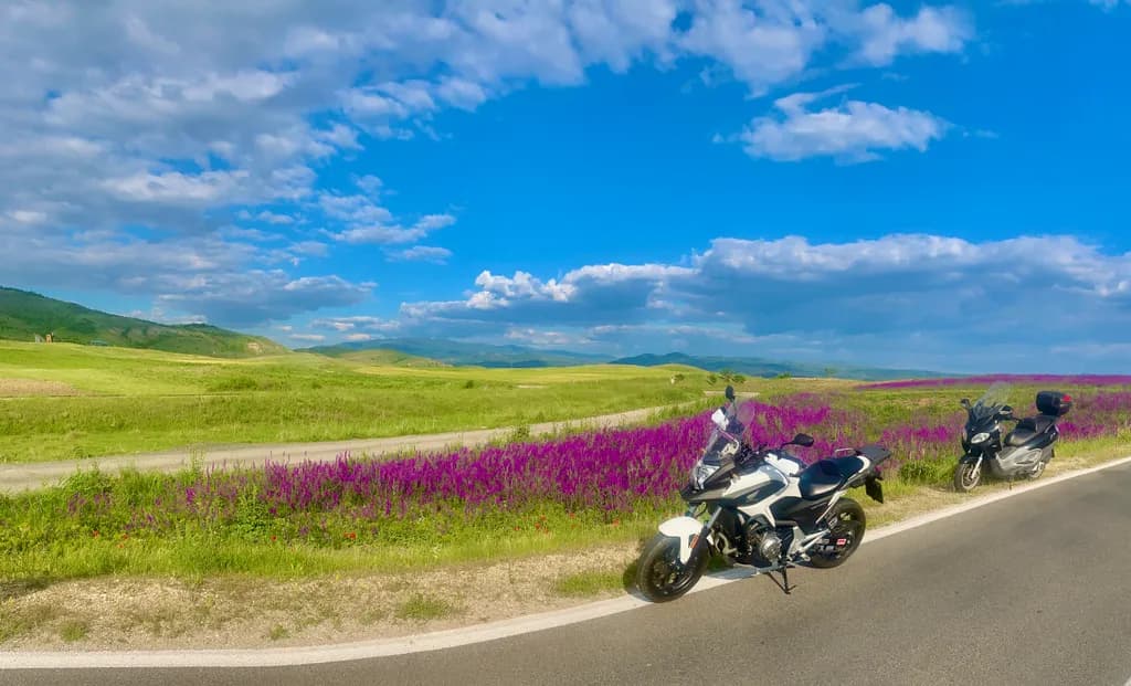 Vibrant Journeys: Motorcycles Amidst Blooming Landscapes and Endless Skies