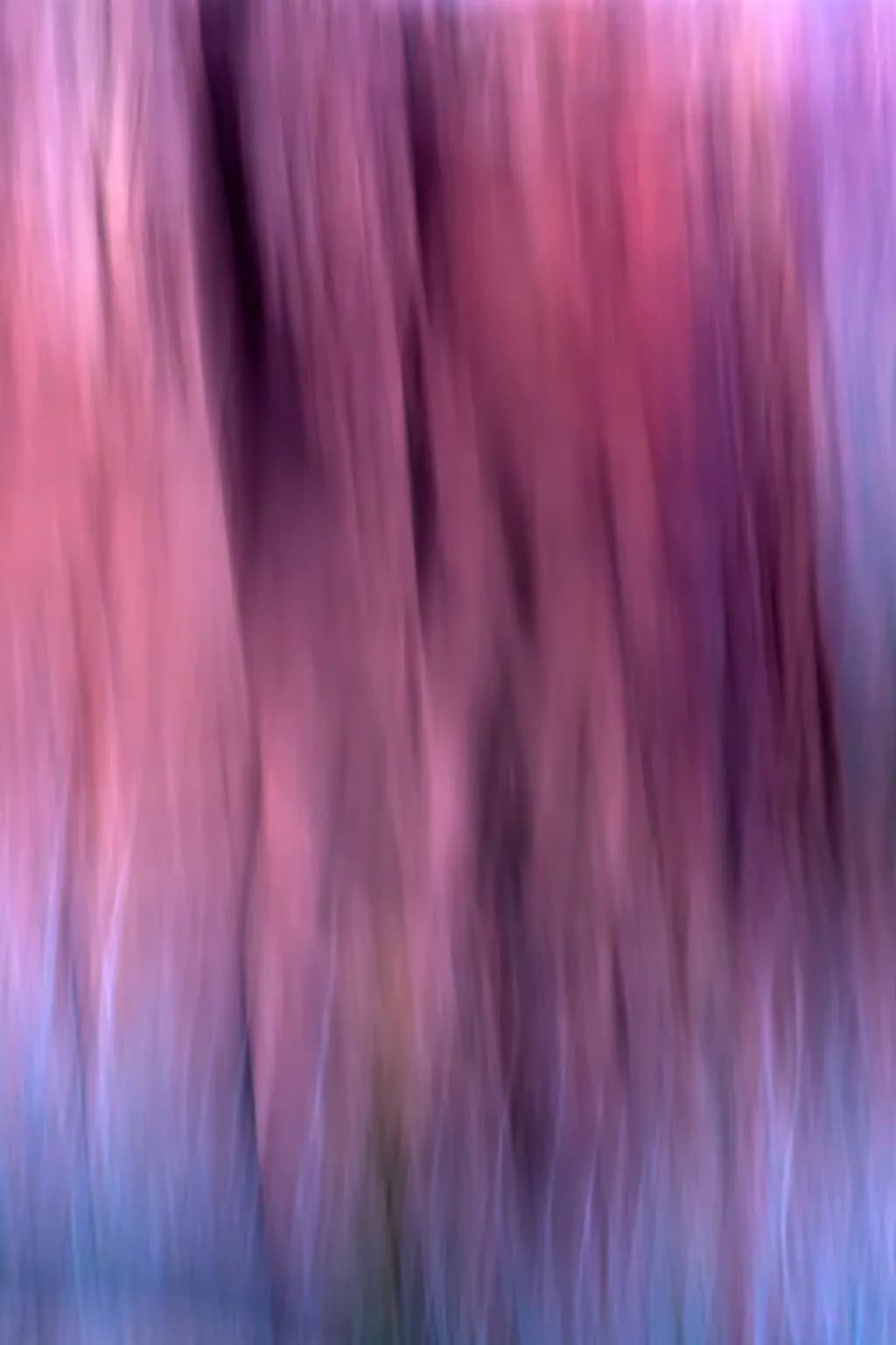 Desert Wall Twilight