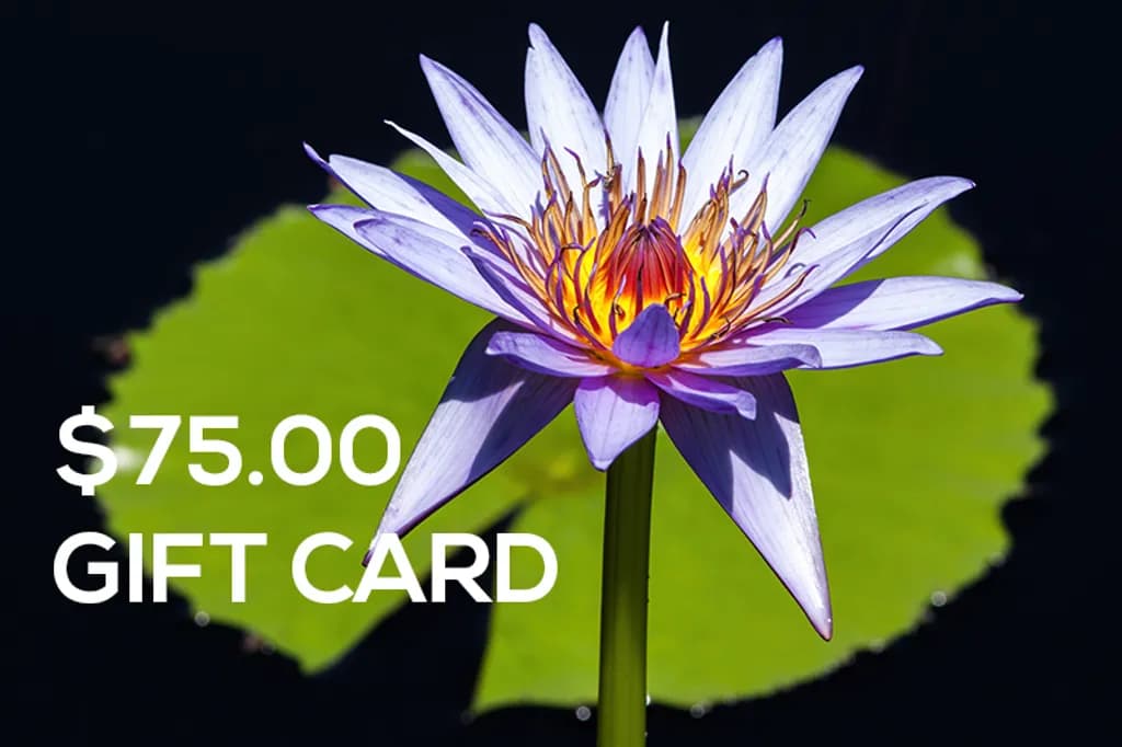 $75 Gift Card