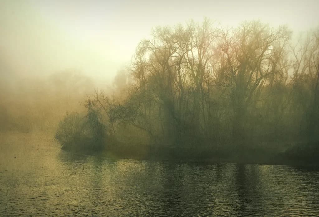 Misty Sunrise