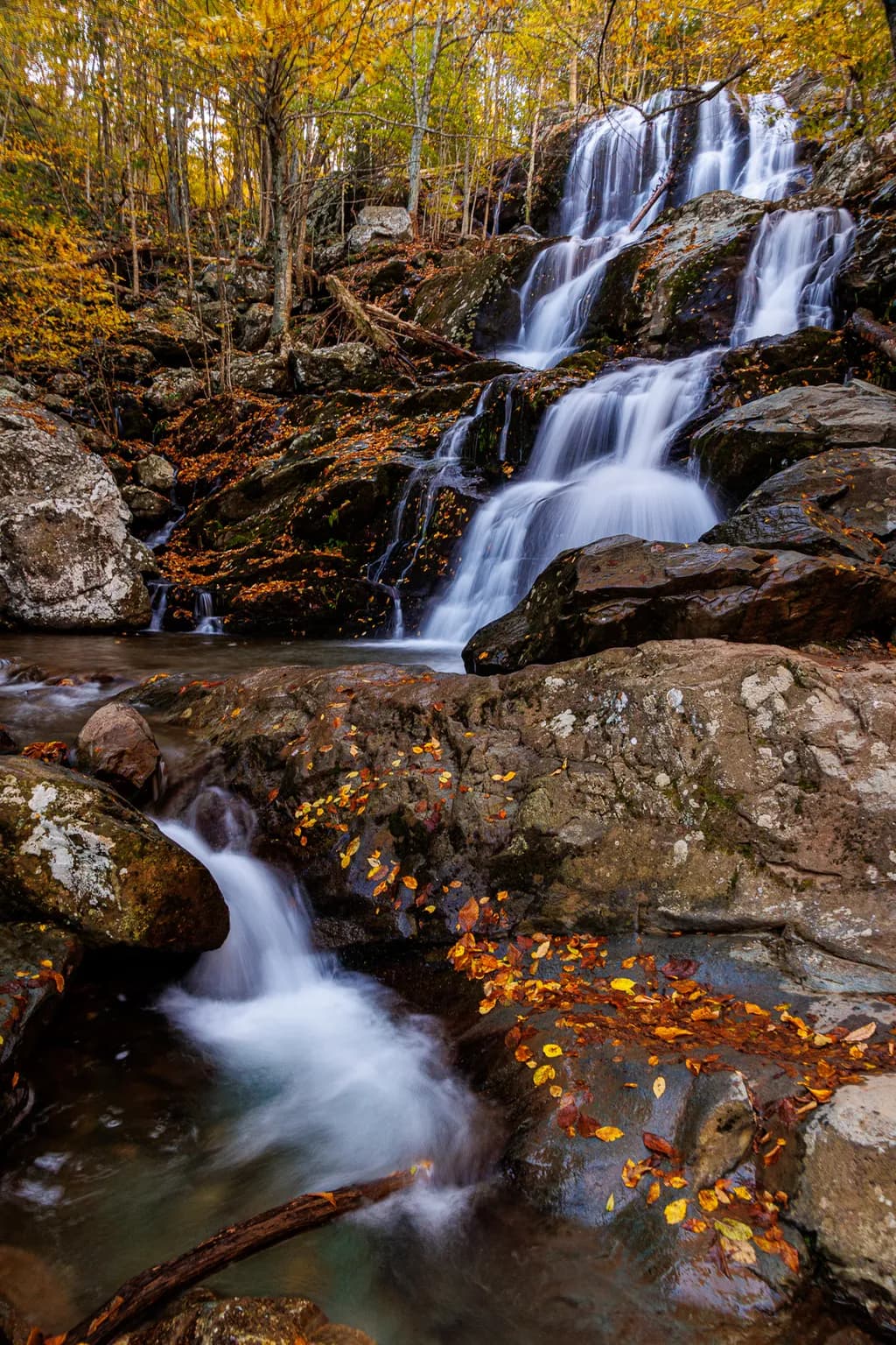 Dark Hallow Falls