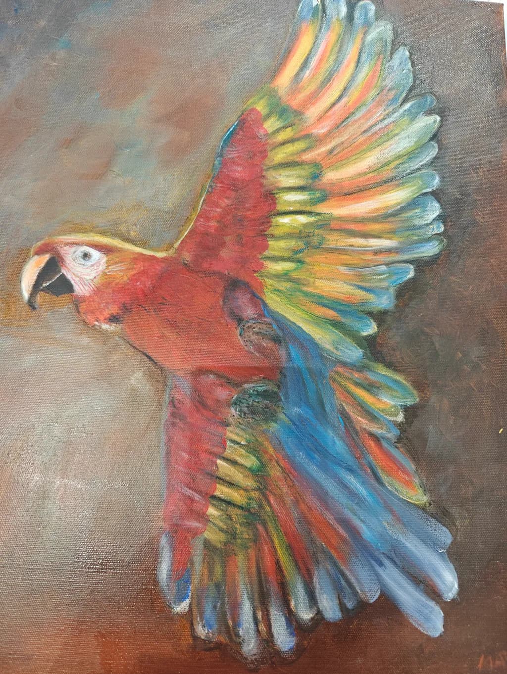 Vibrant Flight: A Colorful Parrot in Motion