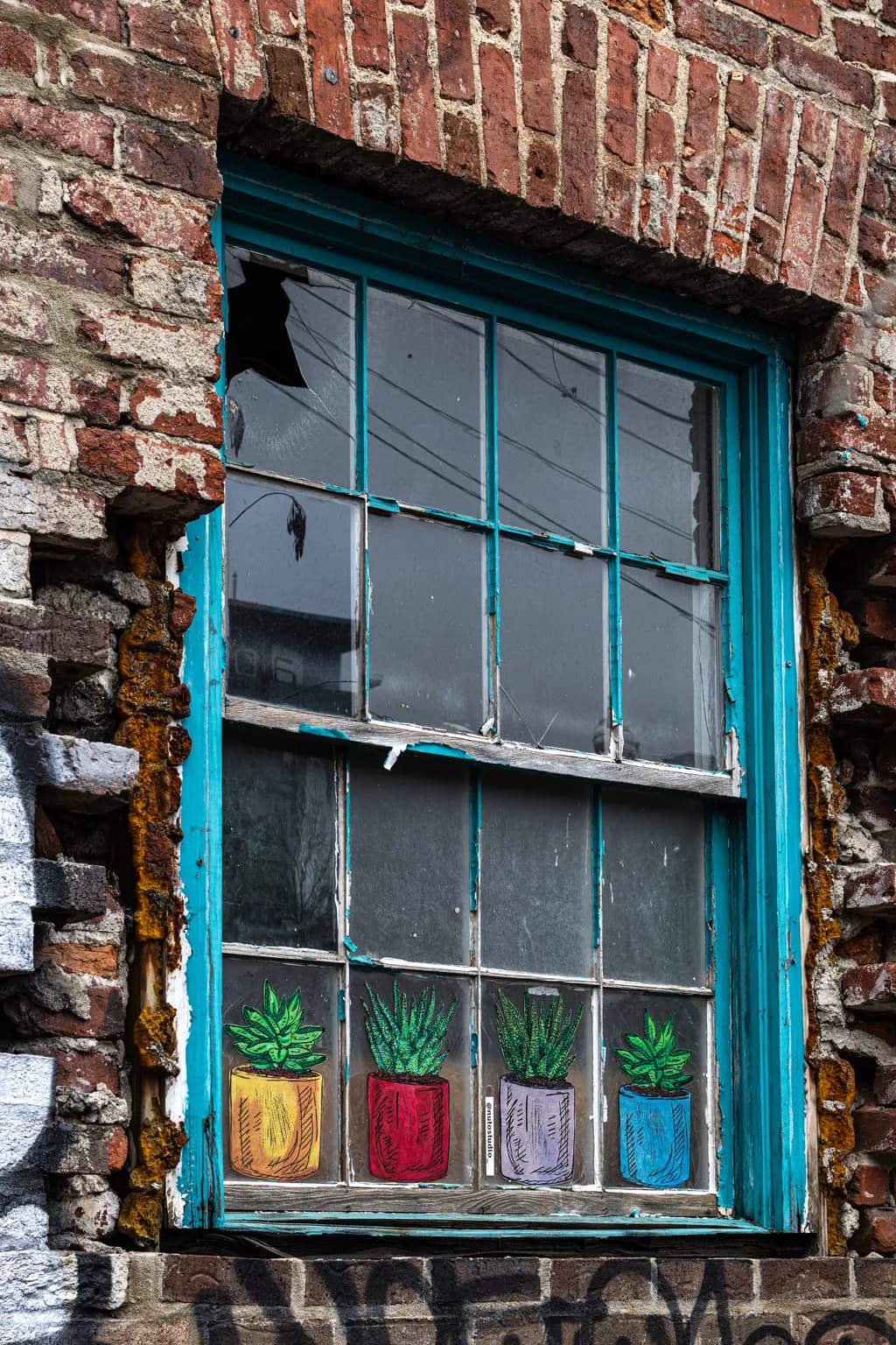 Urban Oasis: A Colorful Window to Nature's Charm