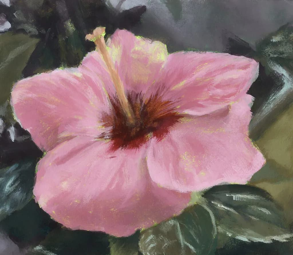 Blossoming Serenity: A Pastel Tribute to the Hibiscus Flower