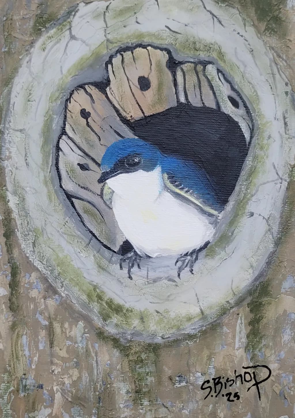 Whispers of Nature: A Bluebird's Haven in the Heart of the Tree