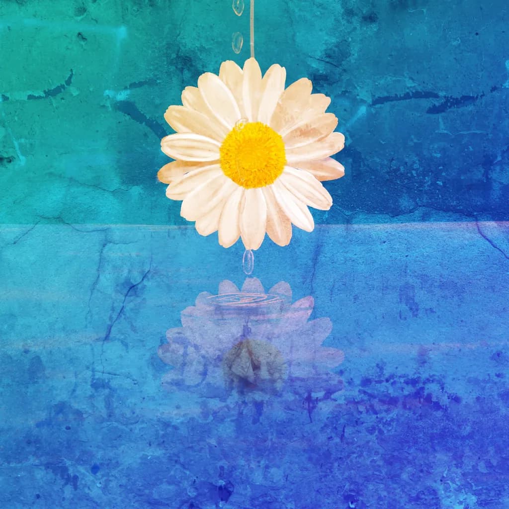 Serene Reflections: A Blue Daisy in Tranquil Waters