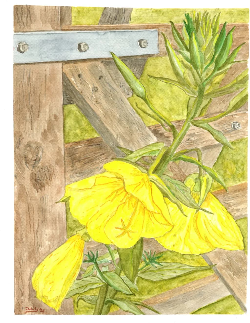 Garden Bloom