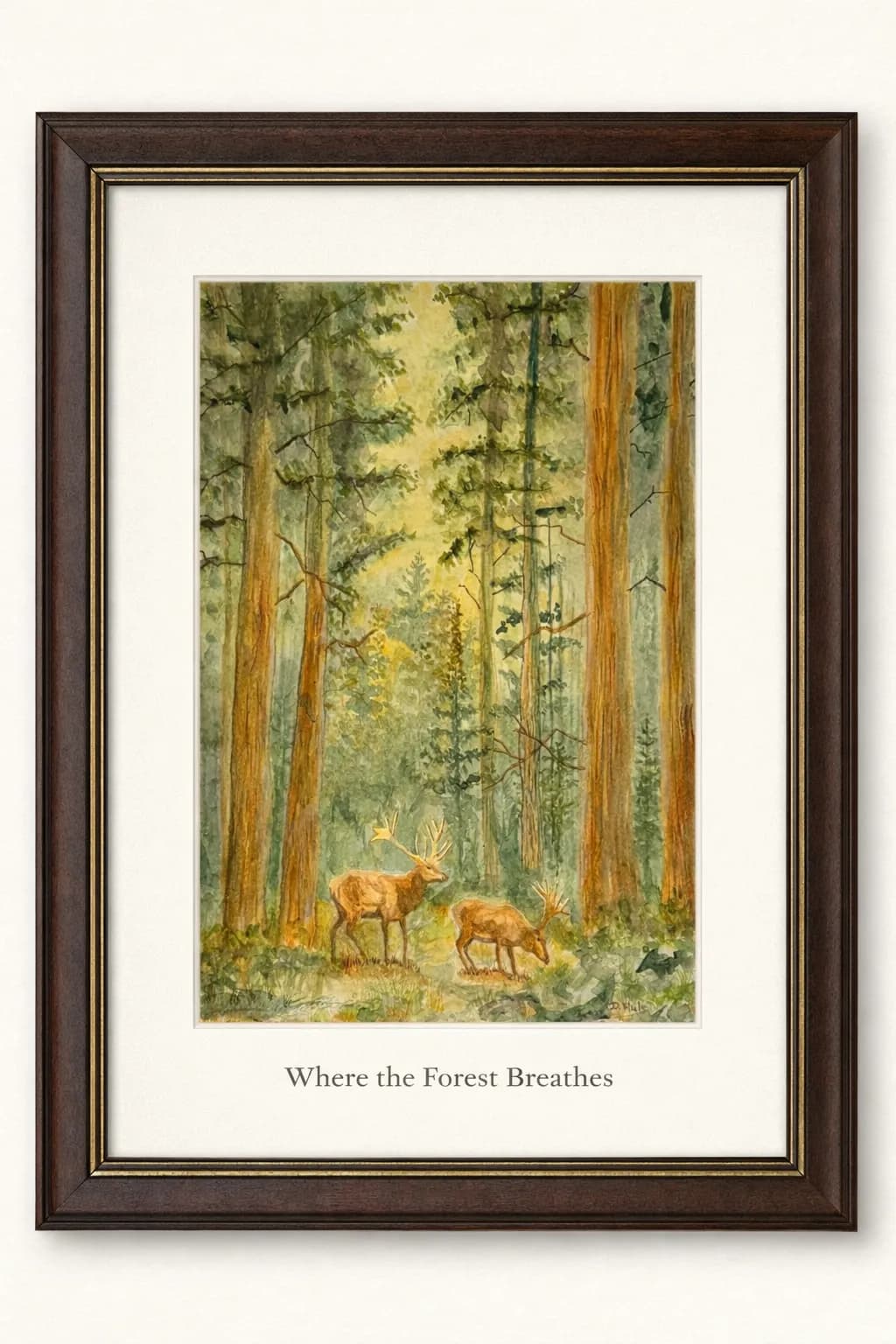 Quiet Forest Path