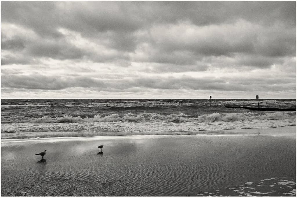 Shoreline Pause