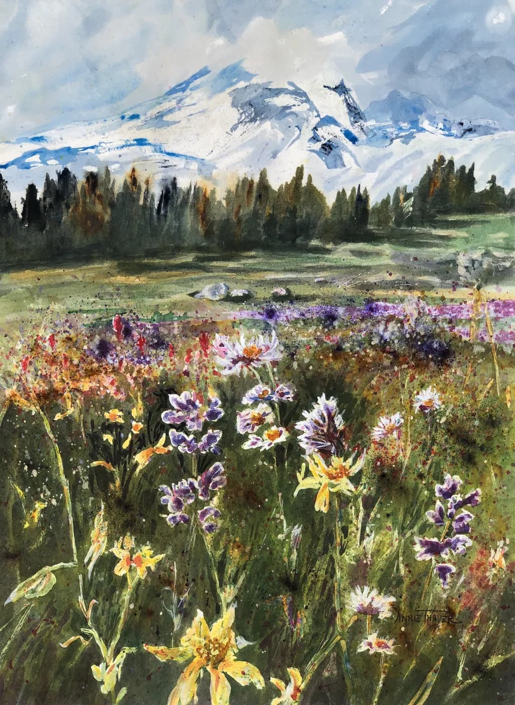 Mountain Meadow Bloom