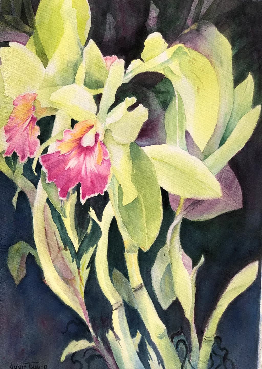Orchid Glow
