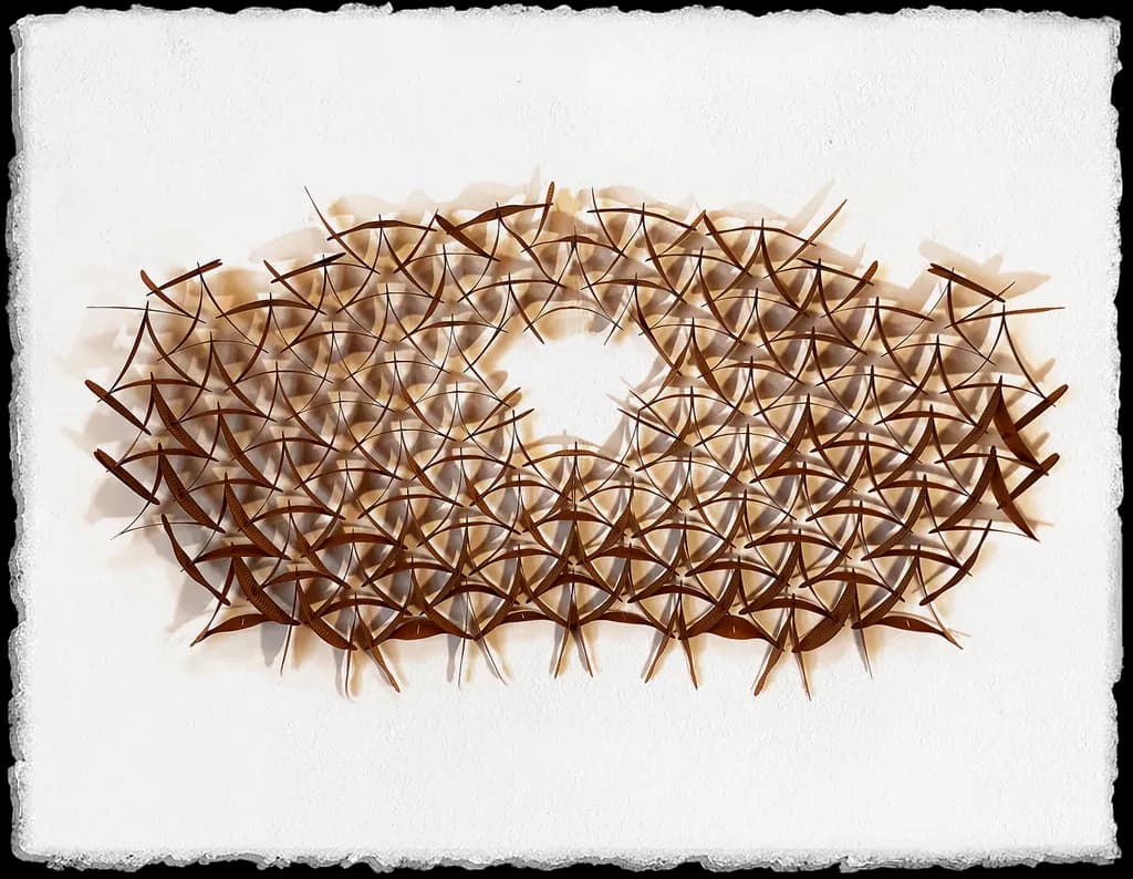 Whispers of Nature: A Tapestry of Organic Forms and Textures