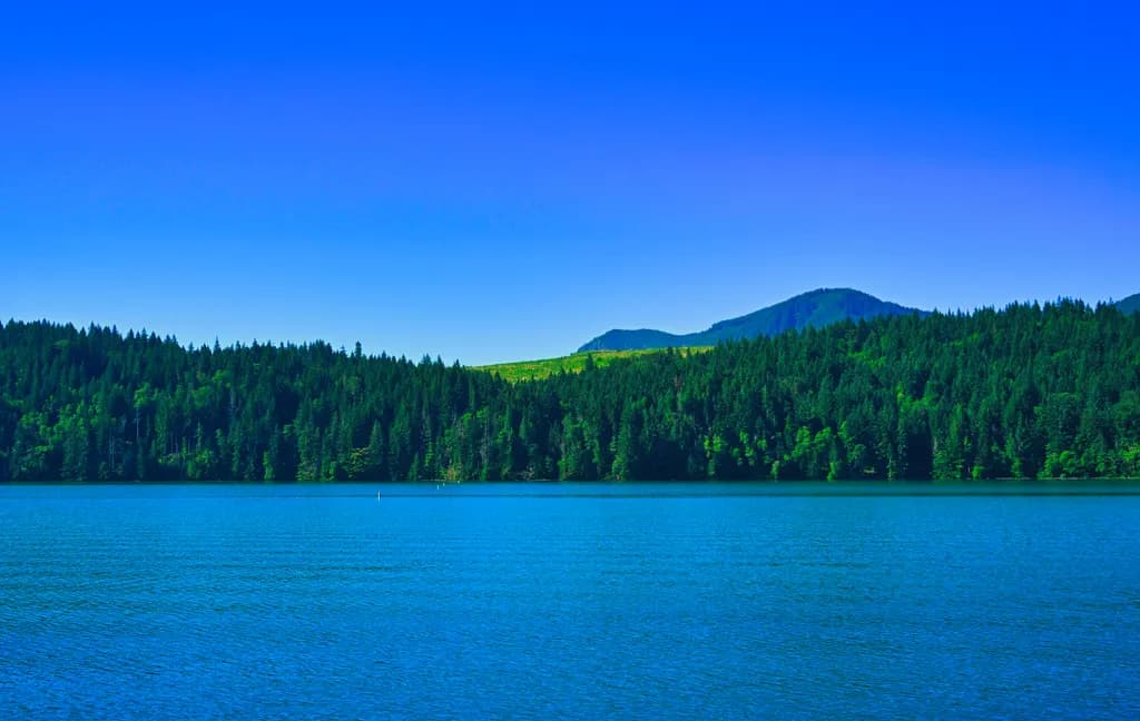 Lakeside Horizon