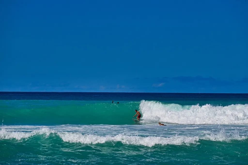 Riding the Waves