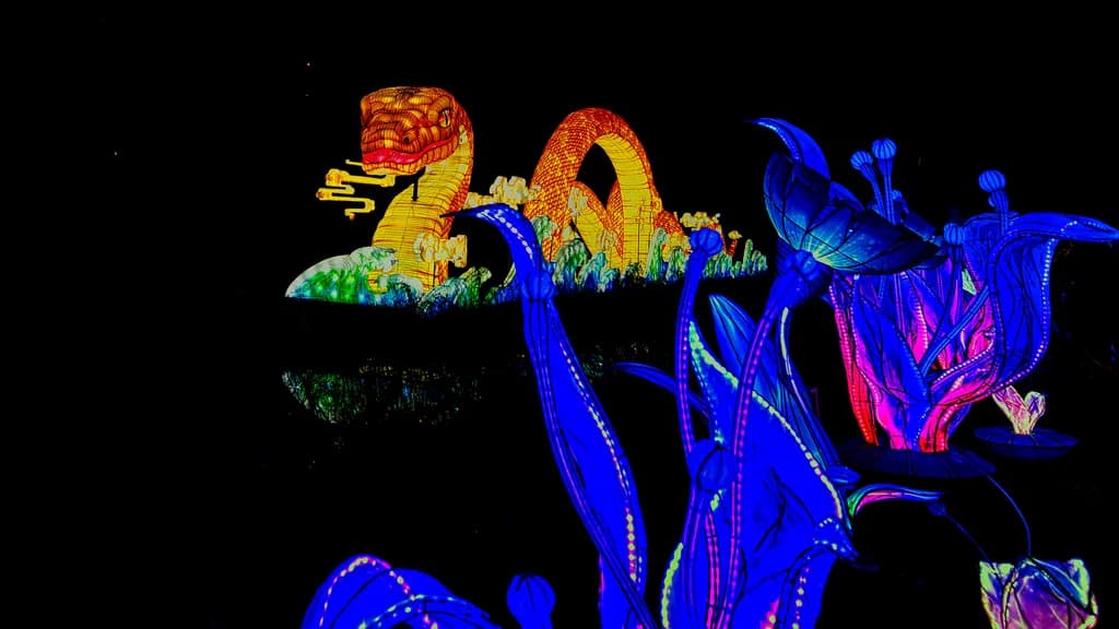 Lanterns on the Lake