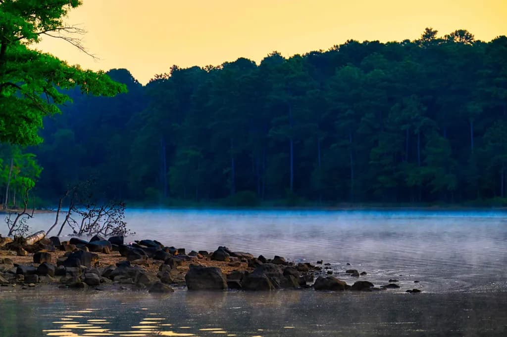 Morning Fog