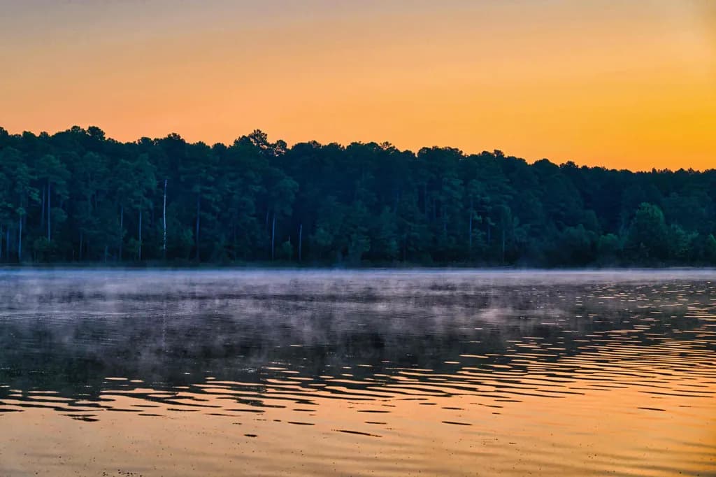 Golden Fog over Jordan Lake