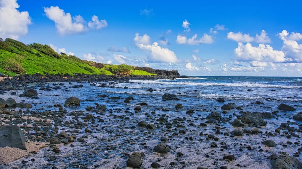 Rocky Shoreline Horizon