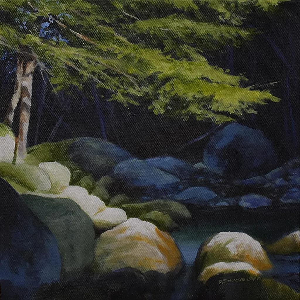 Swift River 2