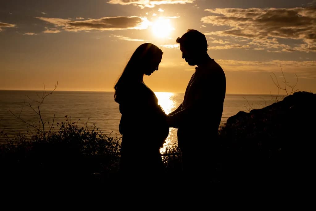 Embracing New Beginnings: A Silhouette of Love at Sunset