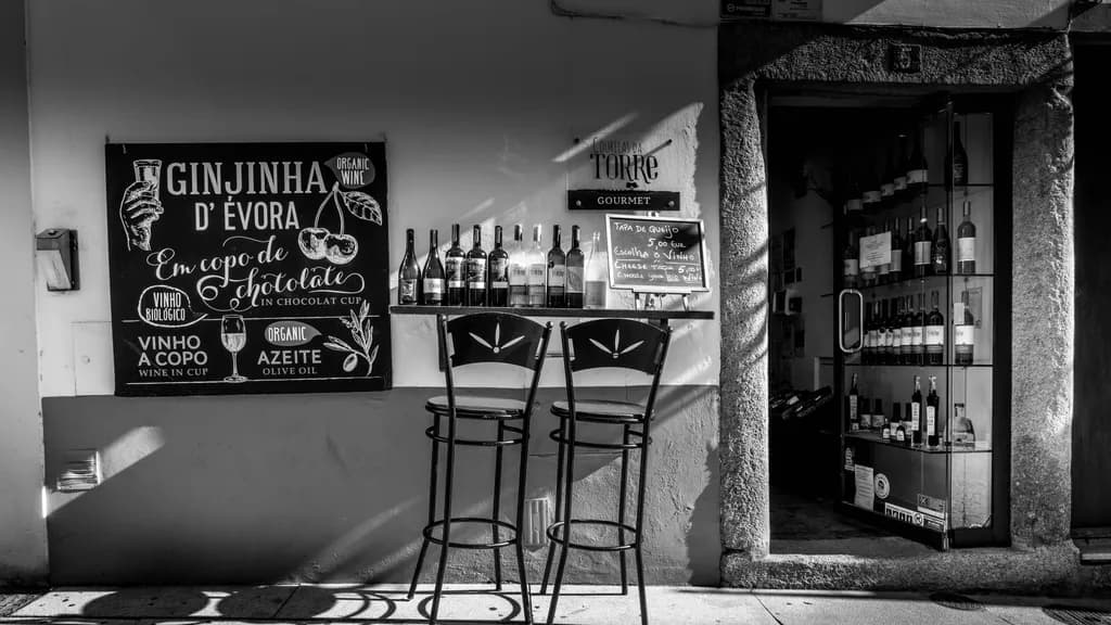 Whispers of Évora: A Black and White Journey Through Wine and Culture