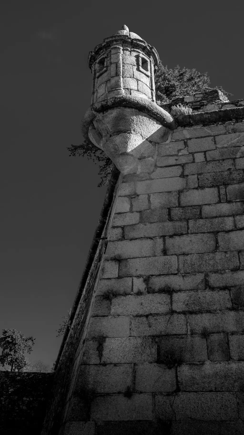 Whispers of Time: The Silent Watchtower in Monochrome Majesty