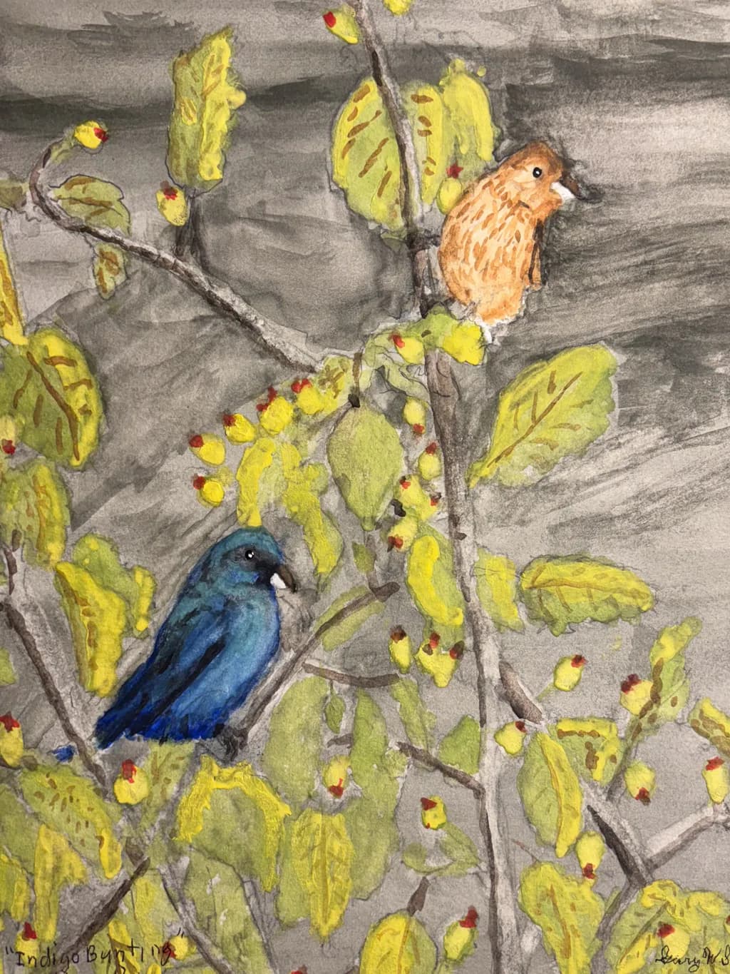 Indigo Bunting Pair