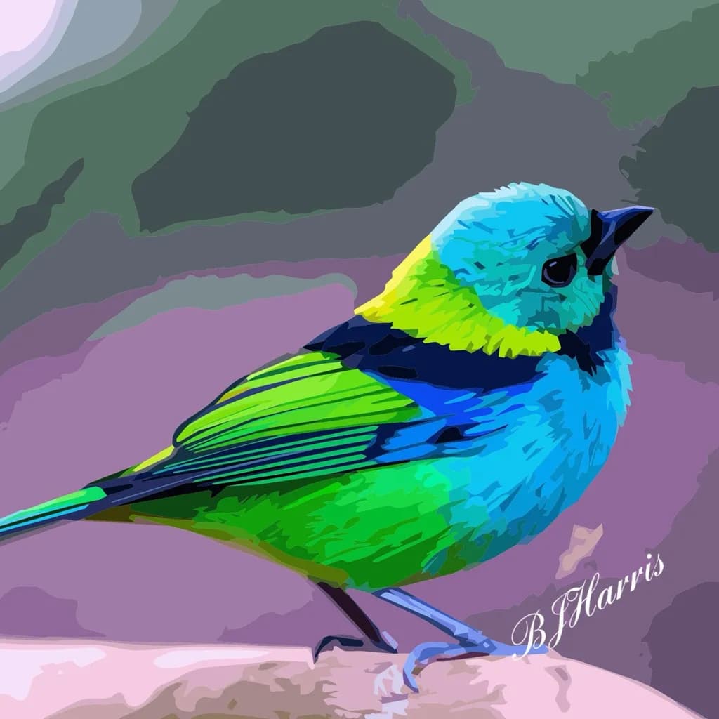 Tropical Bird Portrait