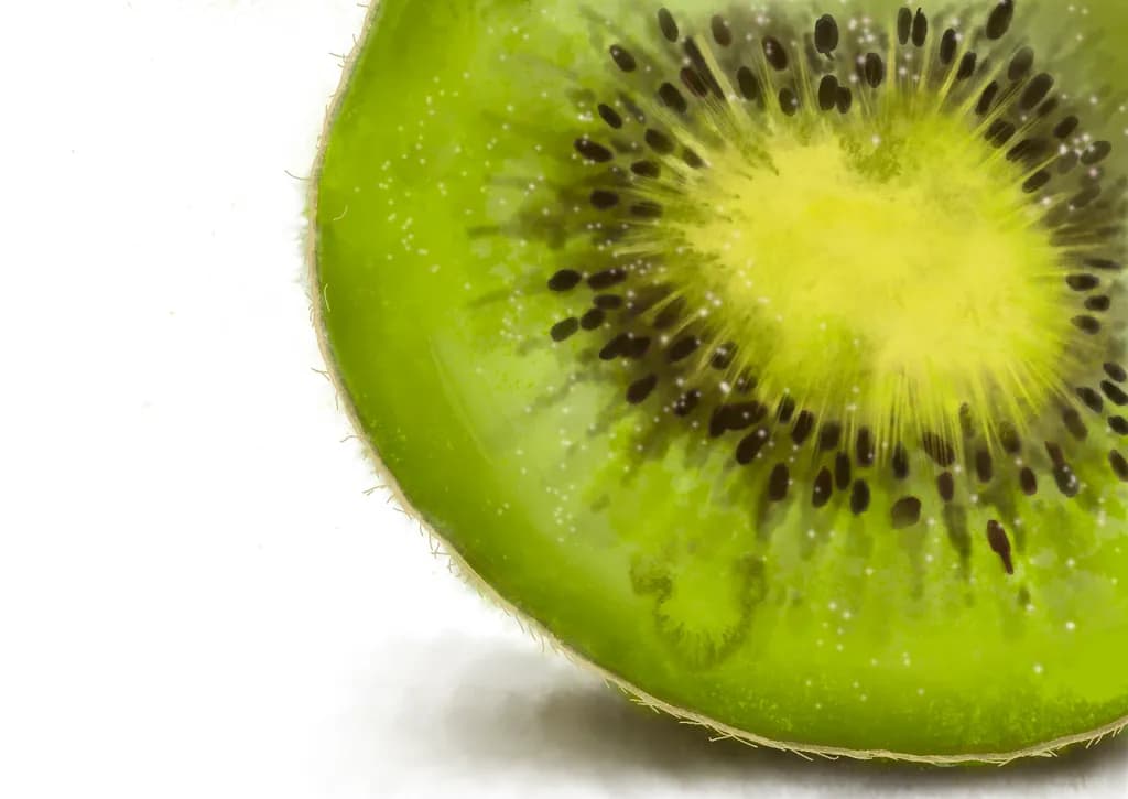 Kiwi Slice