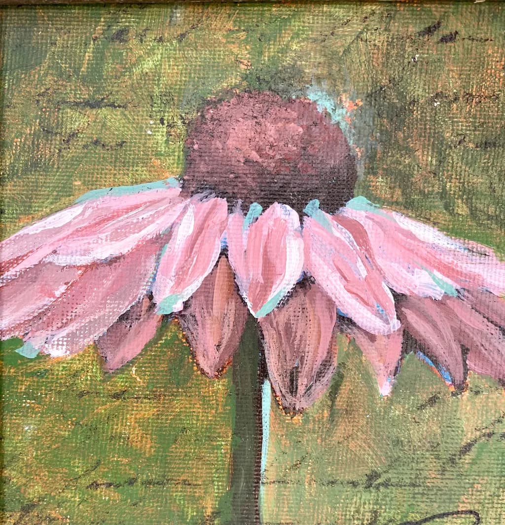 Whispers of a Bloom: The Delicate Dance of Petals and Earth