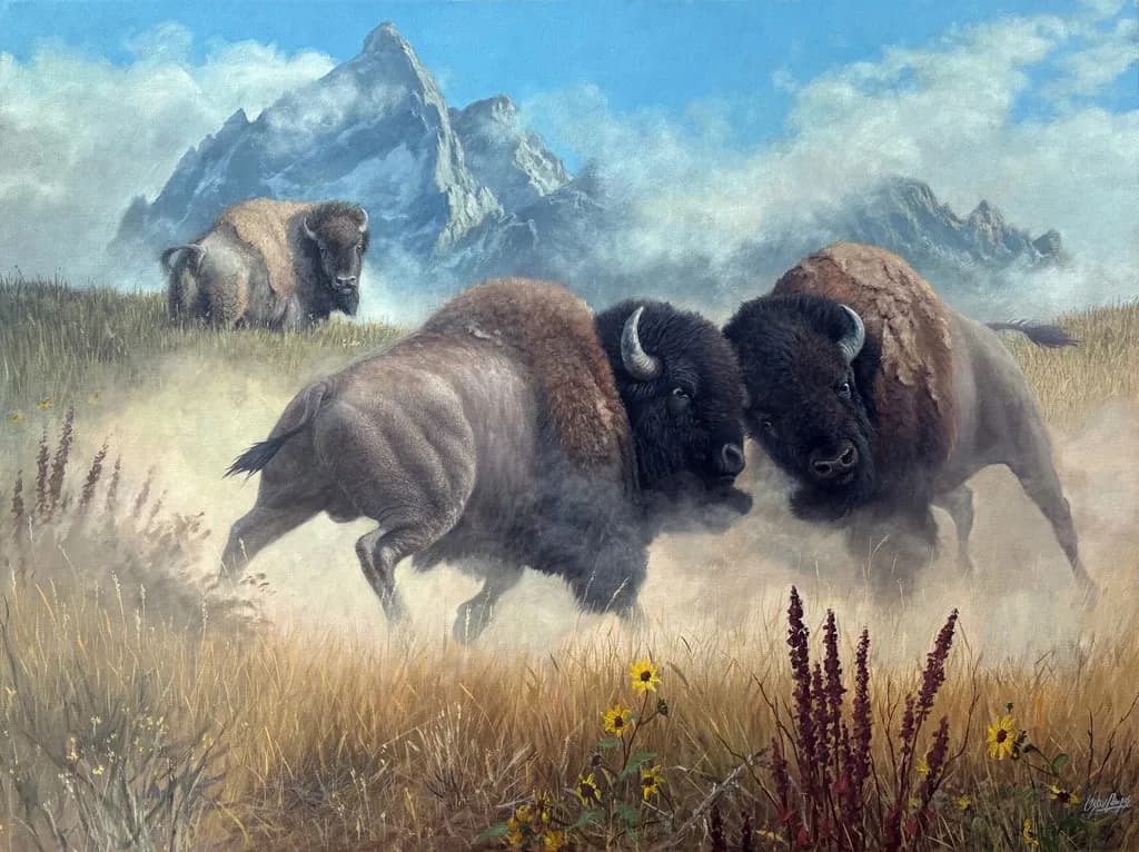 Bison Encounter