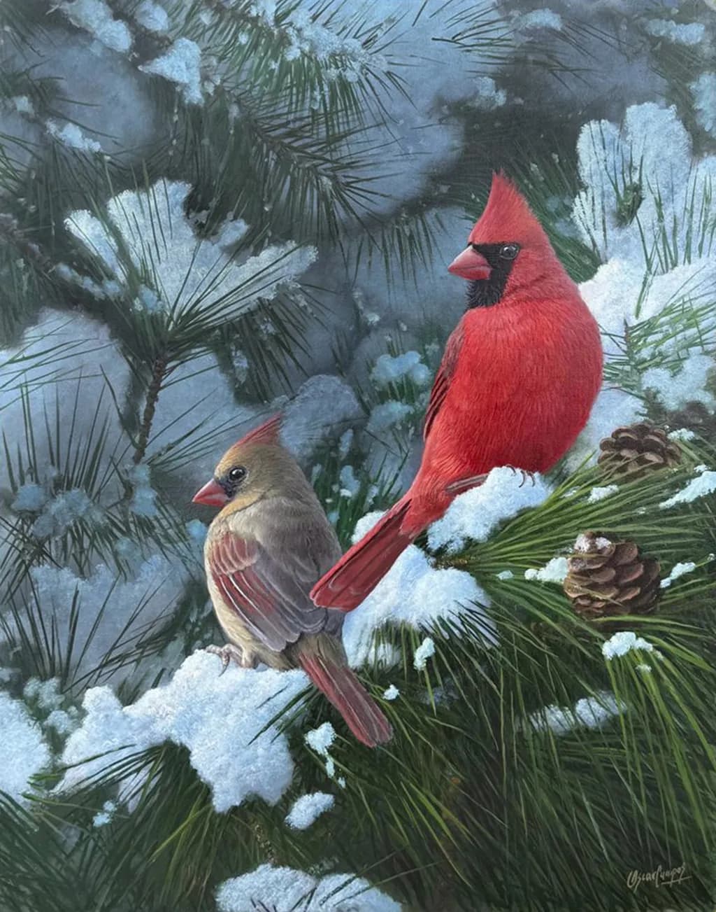 Cardinals