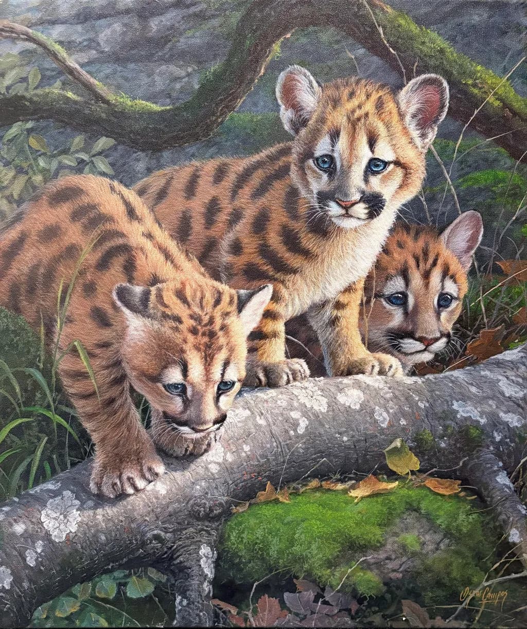 Pumitas