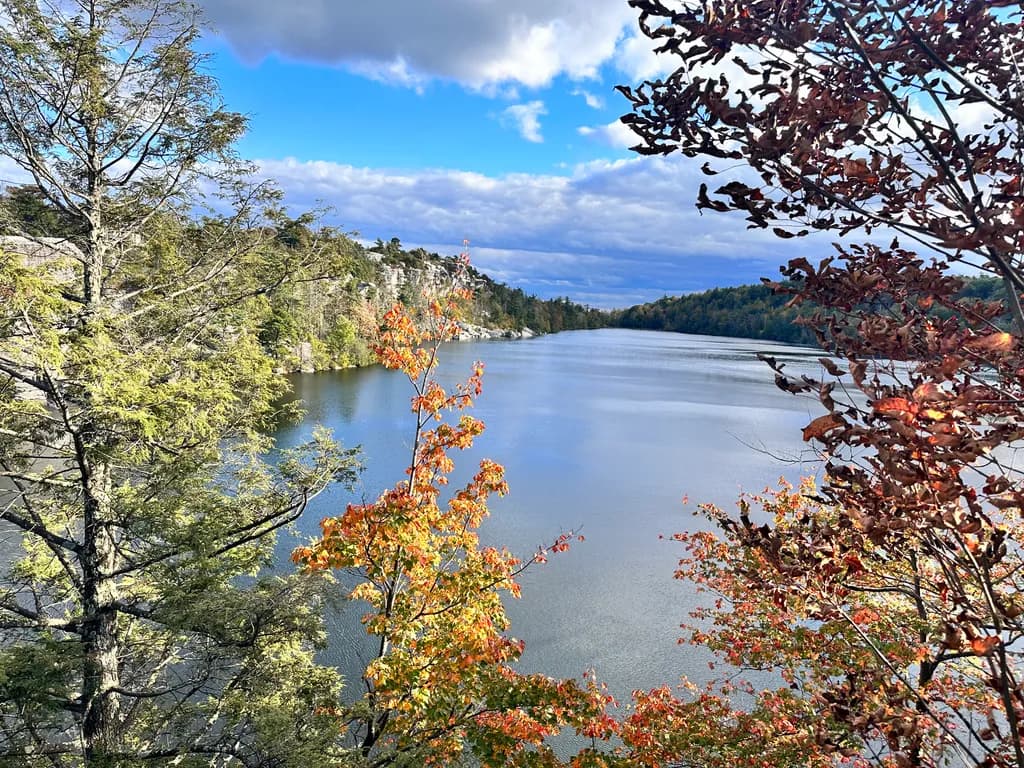 Autumn Serenity: A Tranquil Landscape of Water and Colorful Foliage