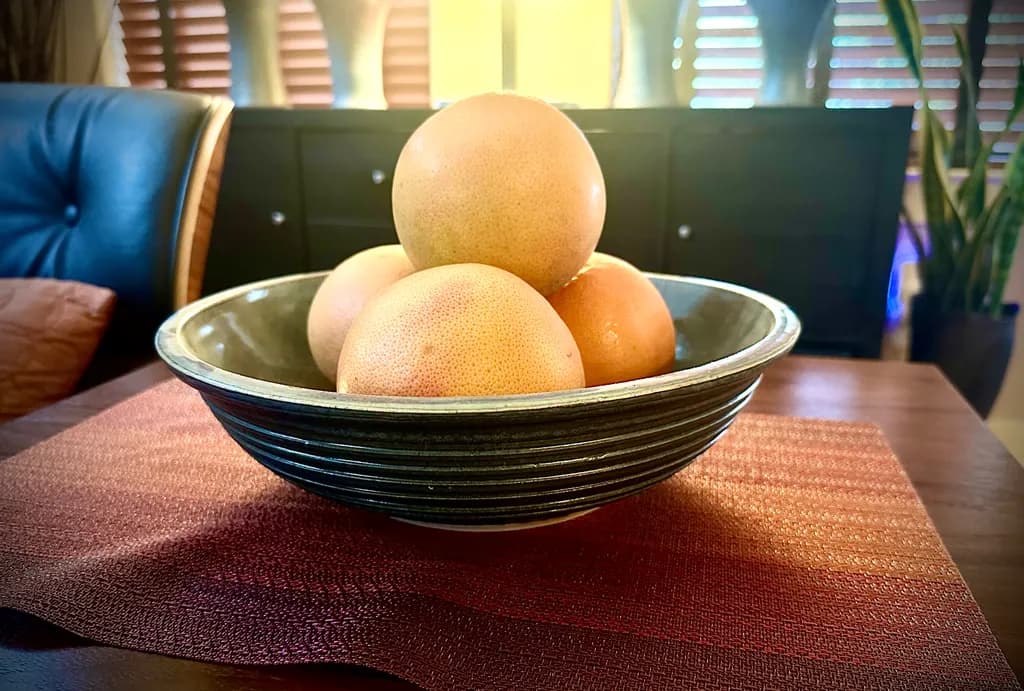 Citrus Harmony