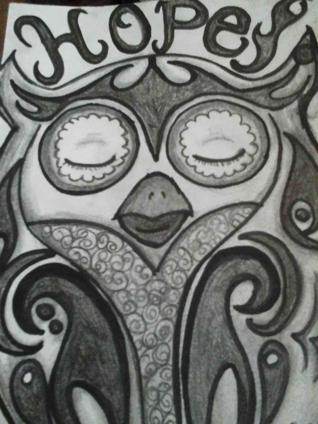 Whimsical Wisdom: The Hopeful Owl Embracing Serenity